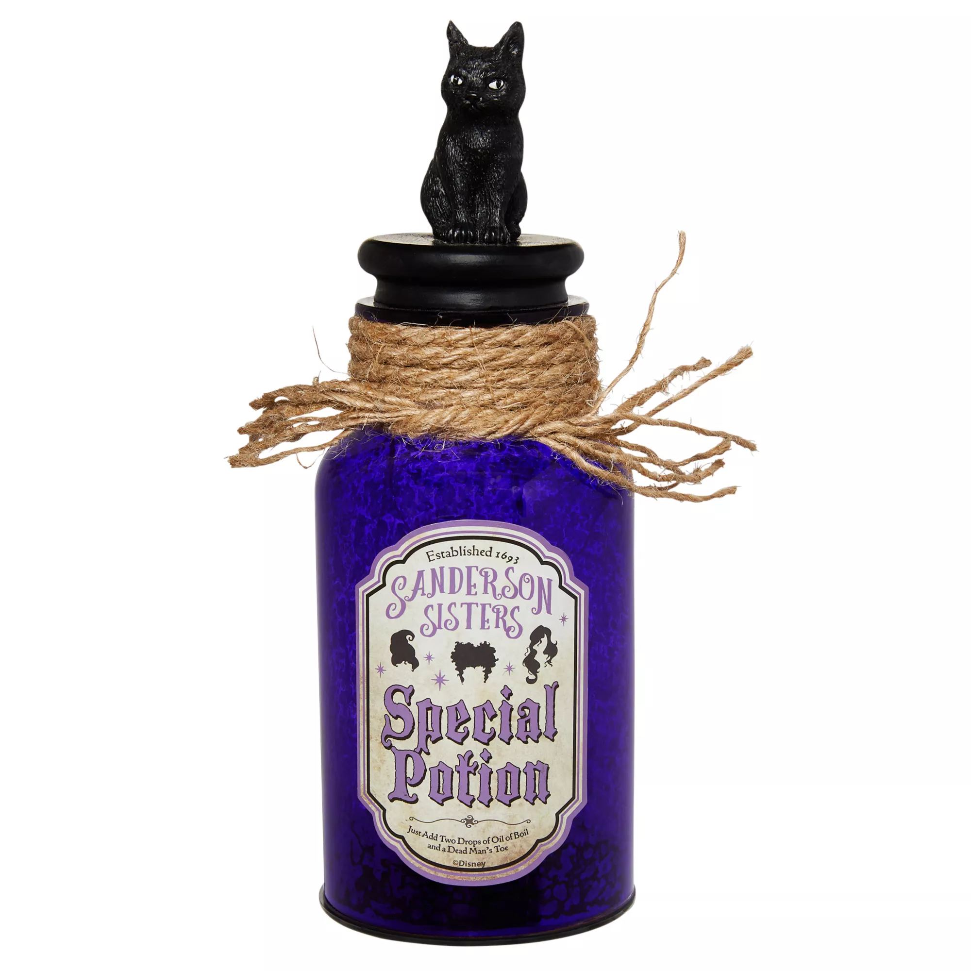 Light-Up Special Potion Bottle - Hocus Pocus at Spirit Halloween