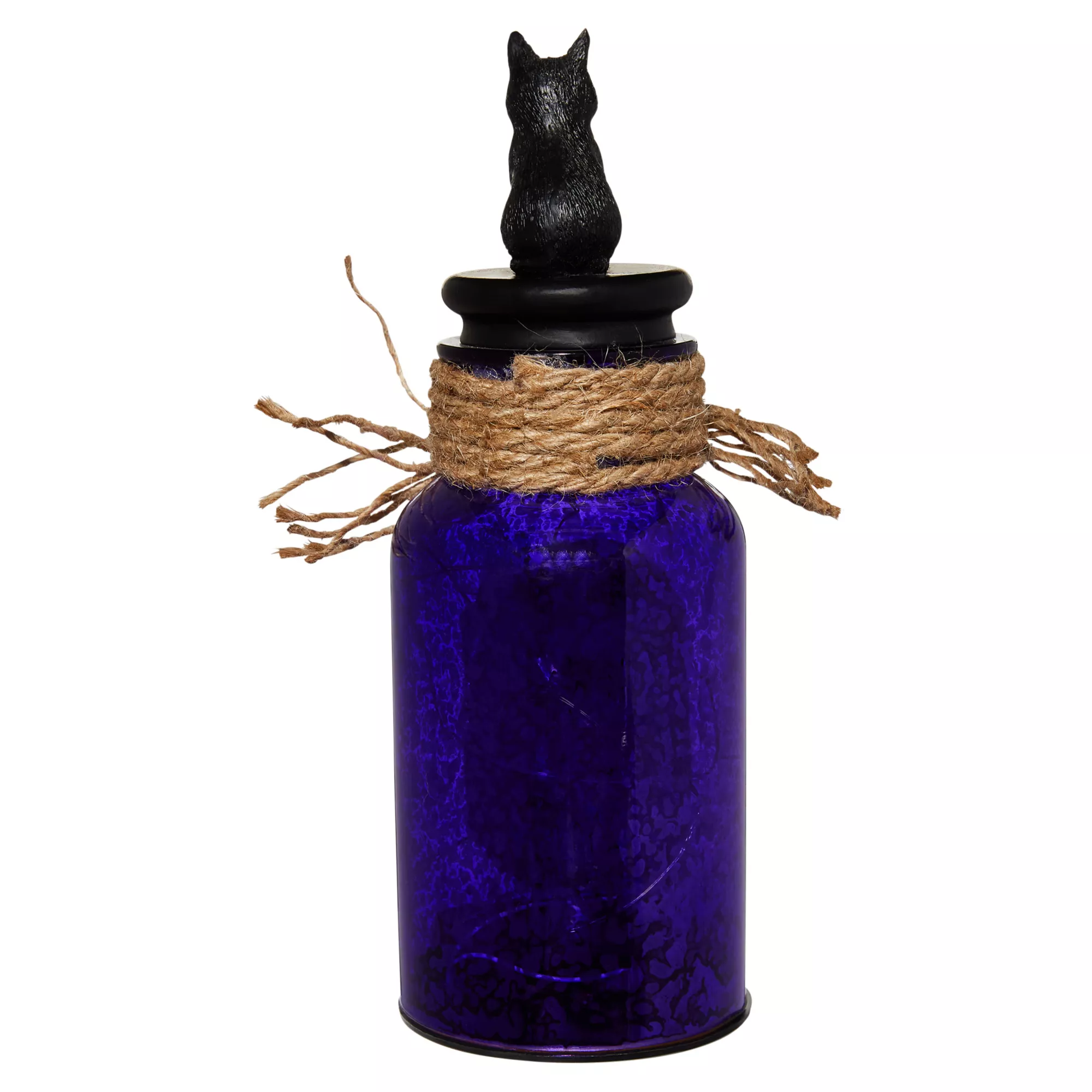Light-Up Special Potion Bottle - Hocus Pocus at Spirit Halloween