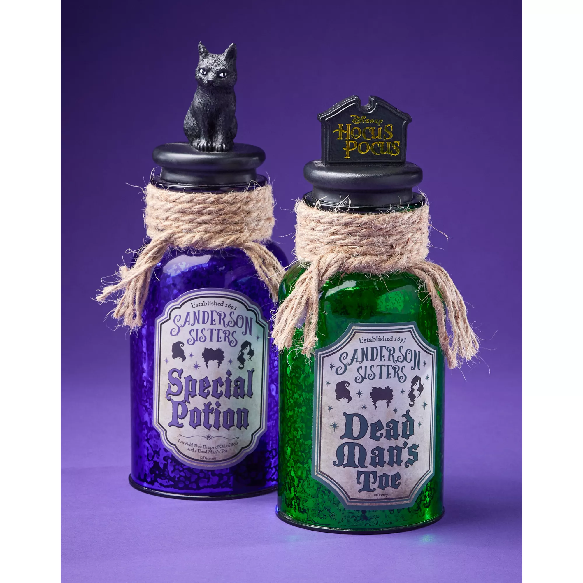 Light-Up Special Potion Bottle - Hocus Pocus at Spirit Halloween