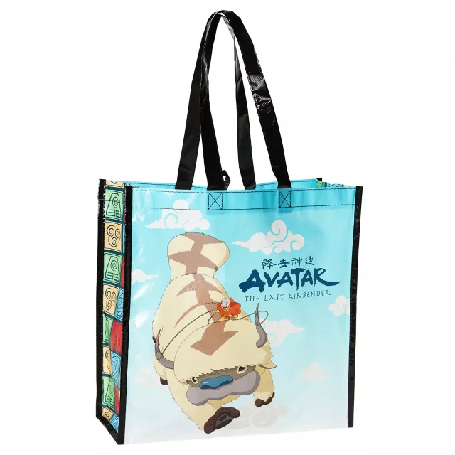 Avatar the Last Airbender Tote Bag at Spirit Halloween
