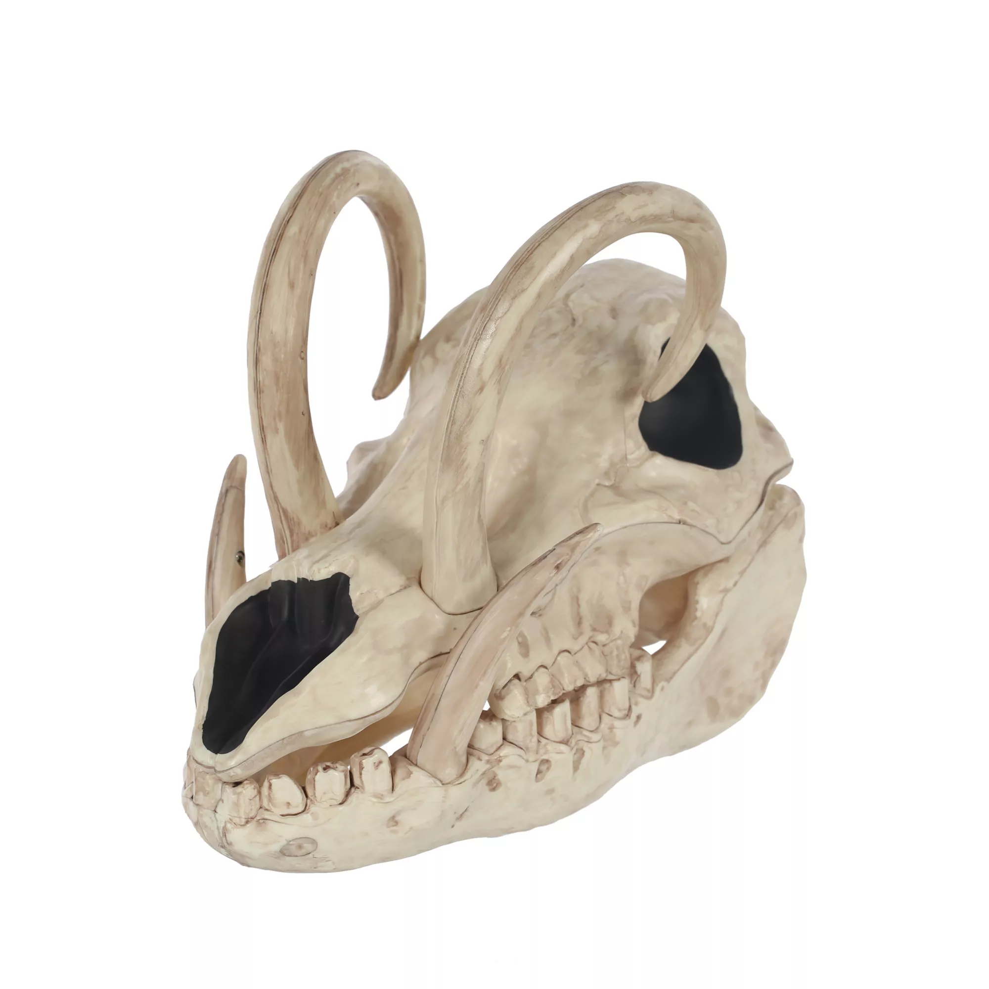Boar Skull at Spirit Halloween