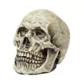 Latex Skull at Spirit Halloween