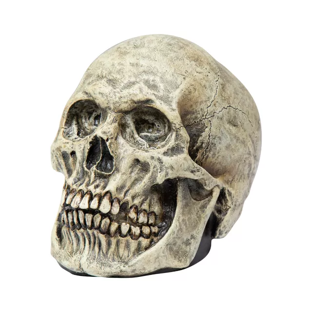 Latex Skull at Spirit Halloween