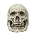 Latex Skull at Spirit Halloween