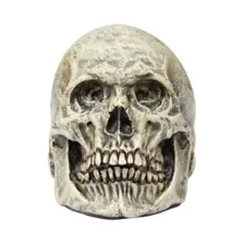 Latex Skull at Spirit Halloween