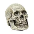 Latex Skull at Spirit Halloween