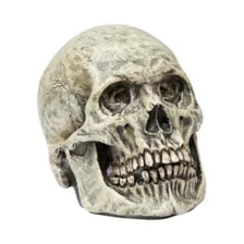 Latex Skull at Spirit Halloween