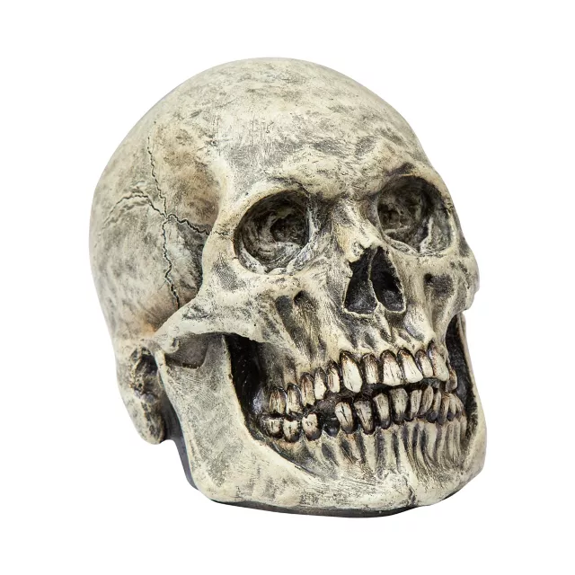 Latex Skull at Spirit Halloween
