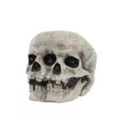 Mutant Skull at Spirit Halloween
