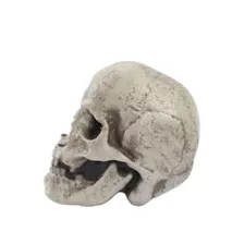 Mutant Skull at Spirit Halloween