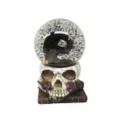 Gothic Noir Raven Snow Globe at Spirit Halloween