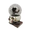 Gothic Noir Raven Snow Globe at Spirit Halloween