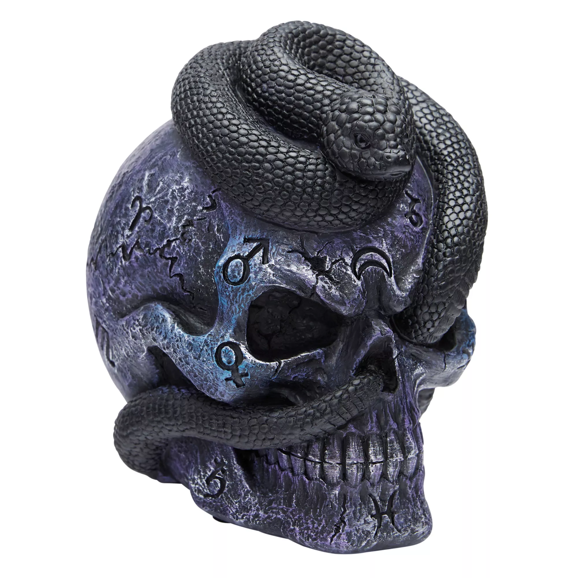 Mystical Arts Snake Skull at Spirit Halloween