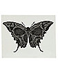 Moth Butterfly Temporary Tattoo