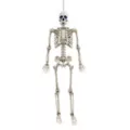 5 Ft Poseable Digieye Skeleton at Spirit Halloween