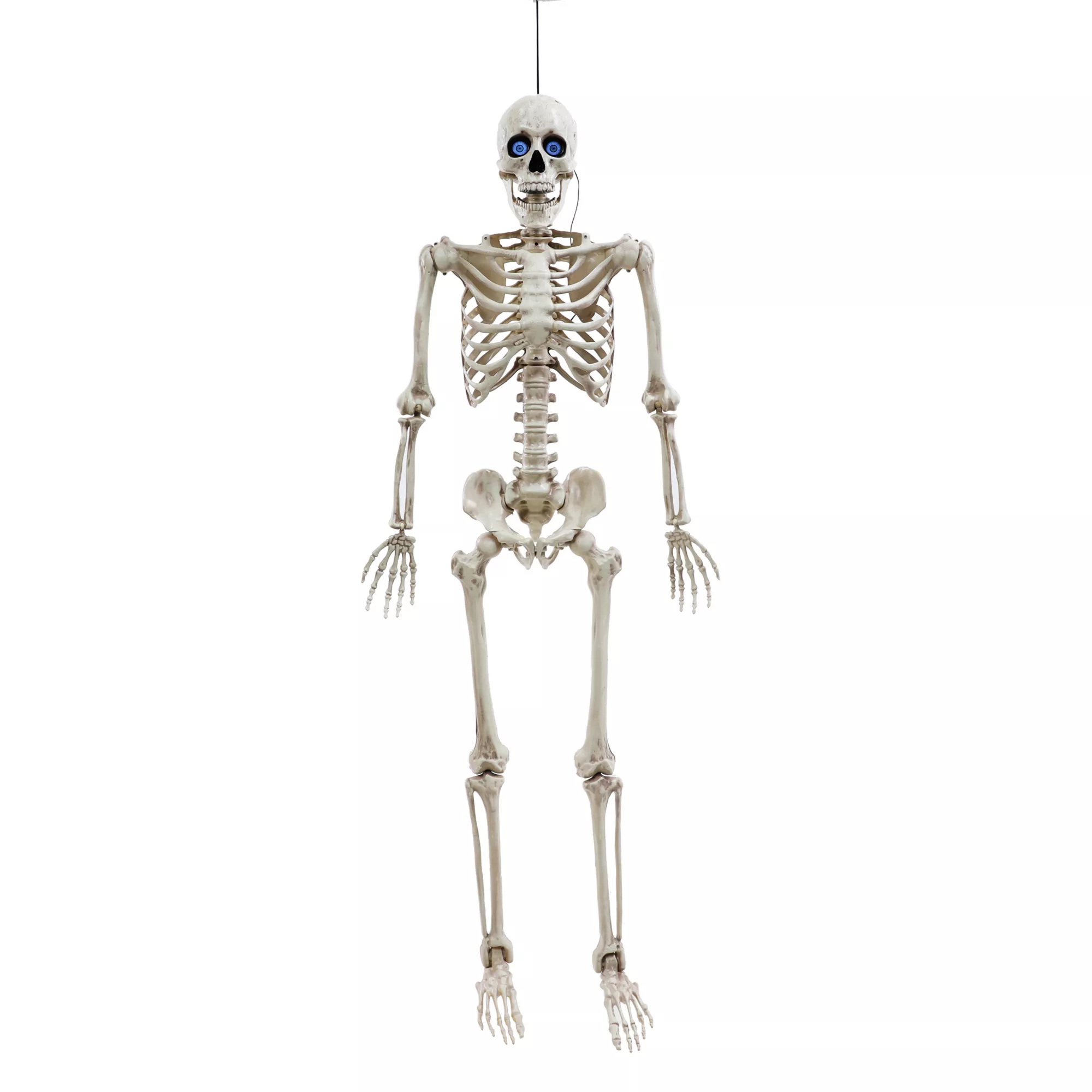 5 Ft Poseable Digieye Skeleton at Spirit Halloween