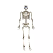 5 Ft Poseable Digieye Skeleton at Spirit Halloween