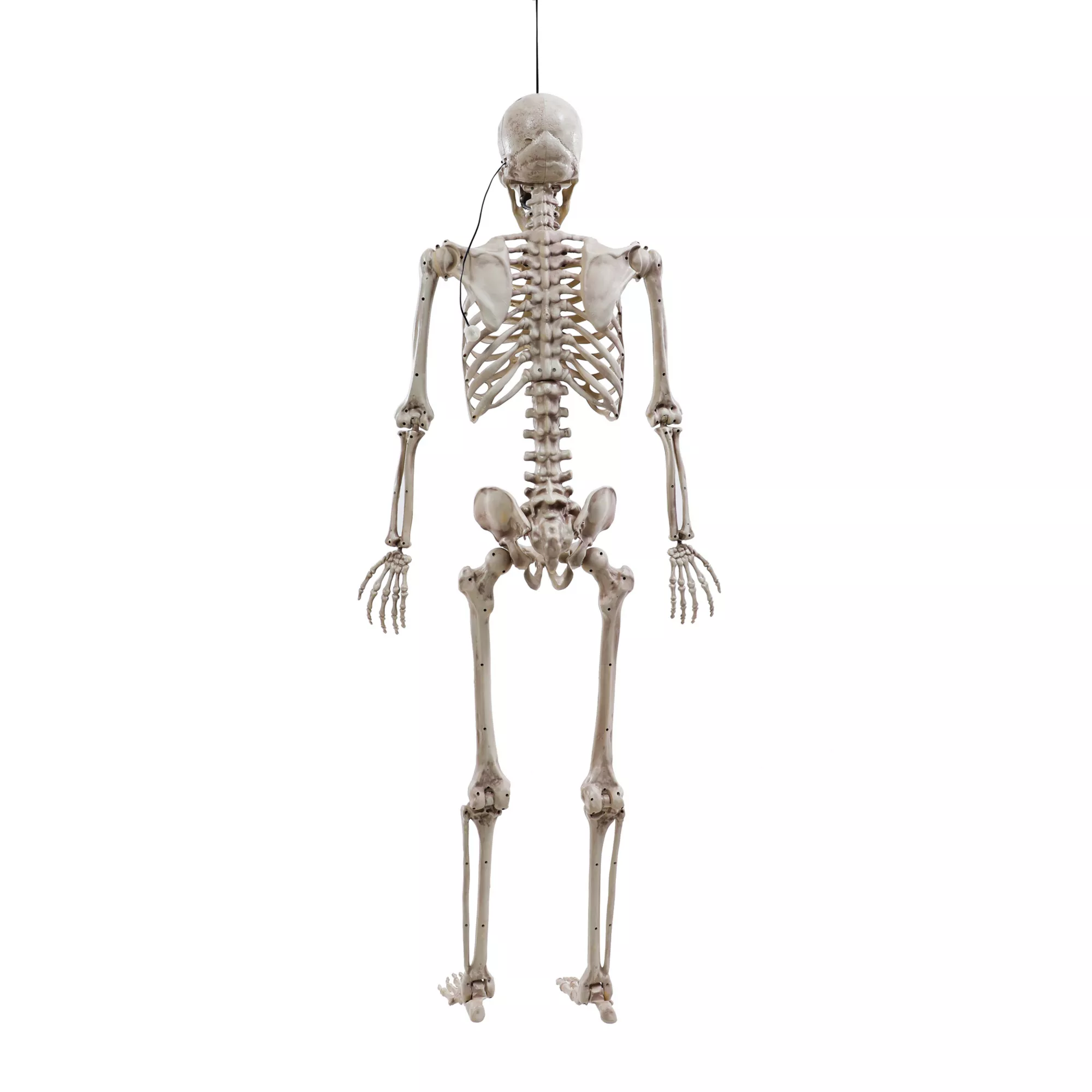 5 Ft Poseable Digieye Skeleton at Spirit Halloween