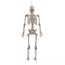 5 Ft Poseable Digieye Skeleton at Spirit Halloween