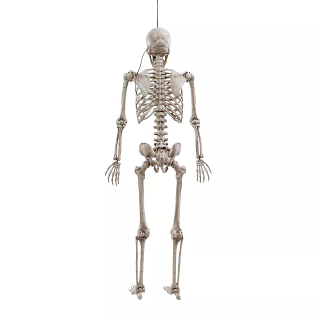 5 Ft Poseable Digieye Skeleton at Spirit Halloween