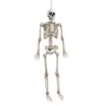 5 Ft Poseable Digieye Skeleton at Spirit Halloween