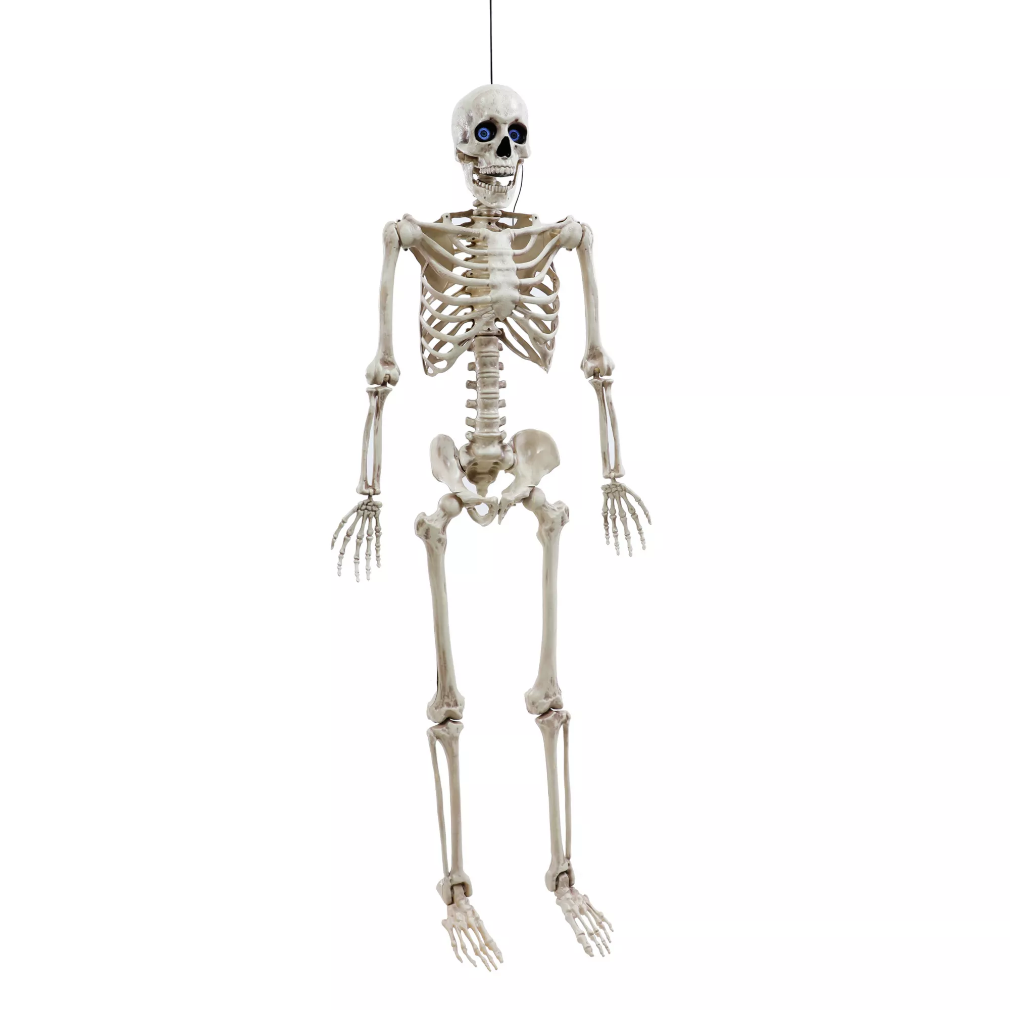 5 Ft Poseable Digieye Skeleton at Spirit Halloween