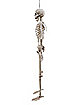 5 Ft. Digieye Hanging Skeleton Prop - Decorations