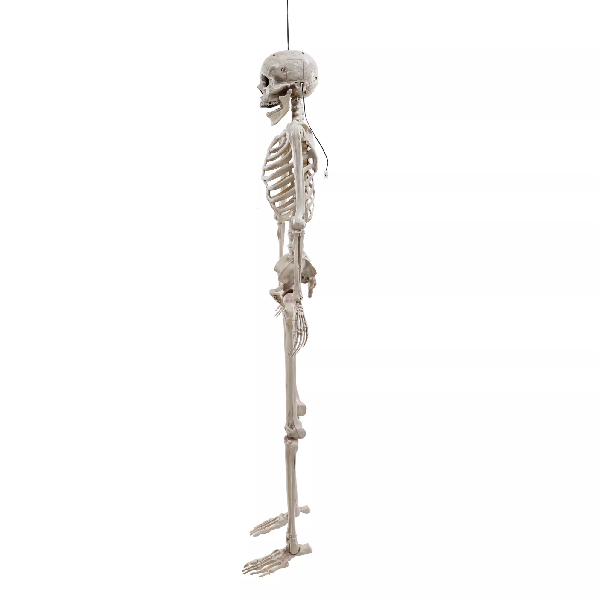 5 Ft Poseable Digieye Skeleton at Spirit Halloween