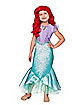Toddler Ariel Dress - Disney Princess