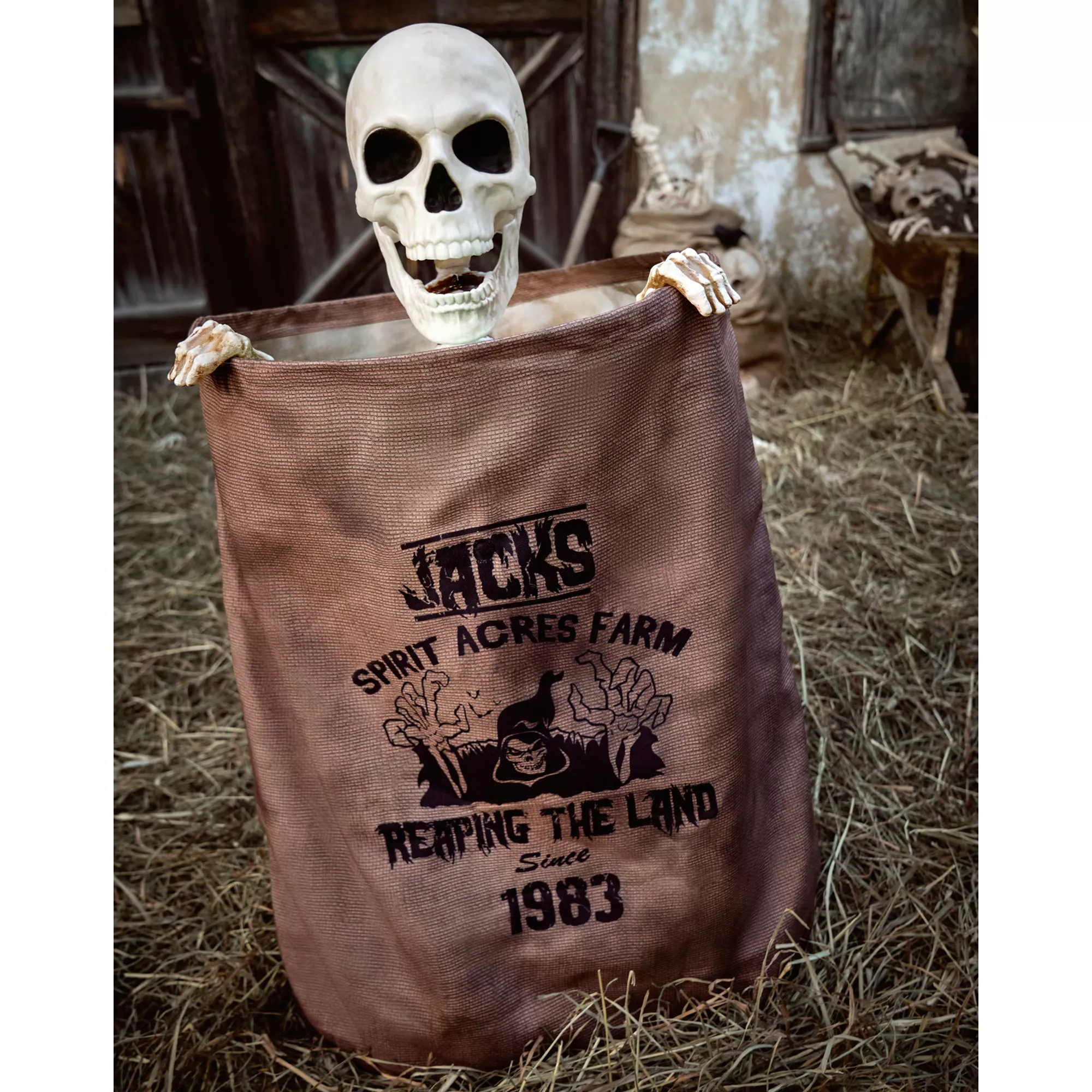 3 Ft Bag O’ Bones Animatronic at Spencer's