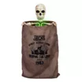 3 Ft Bag O’ Bones Animatronic at Spencer's