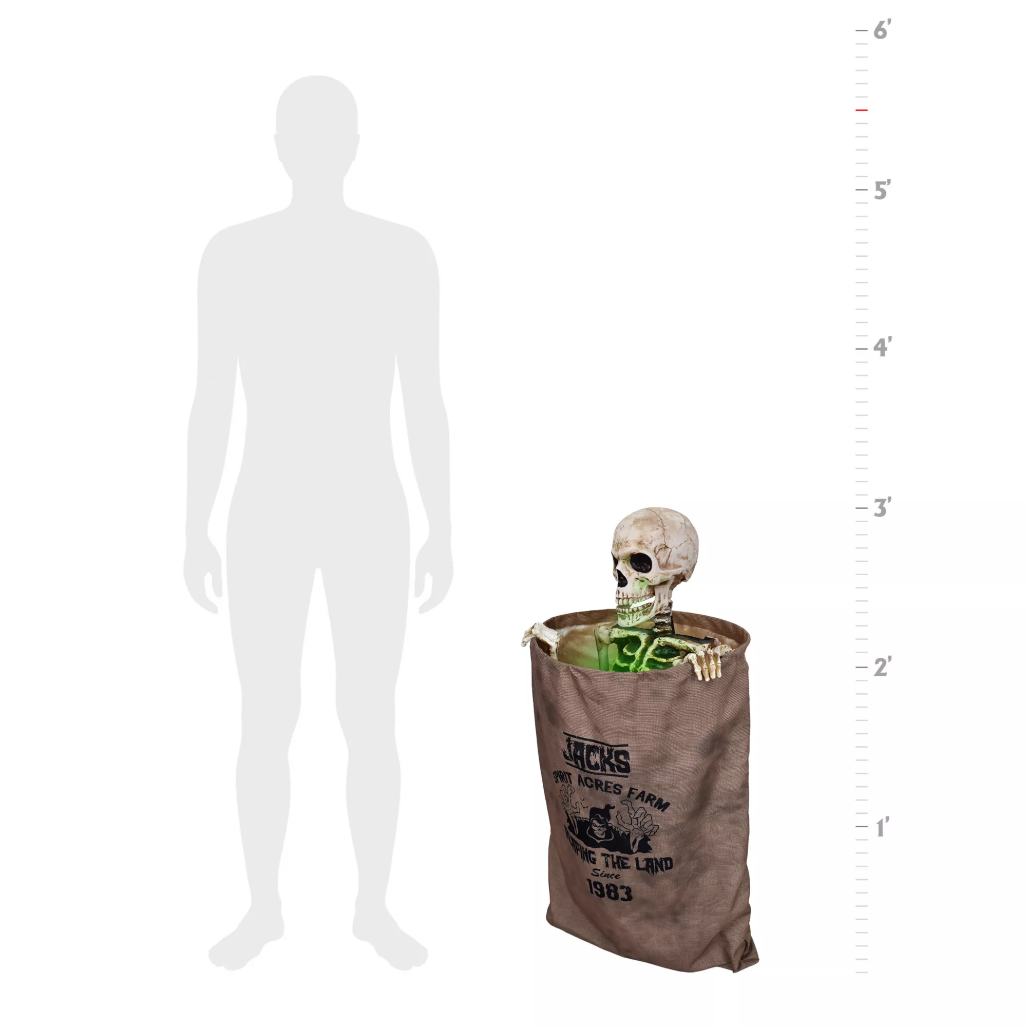 3 Ft Bag O’ Bones Animatronic at Spencer's