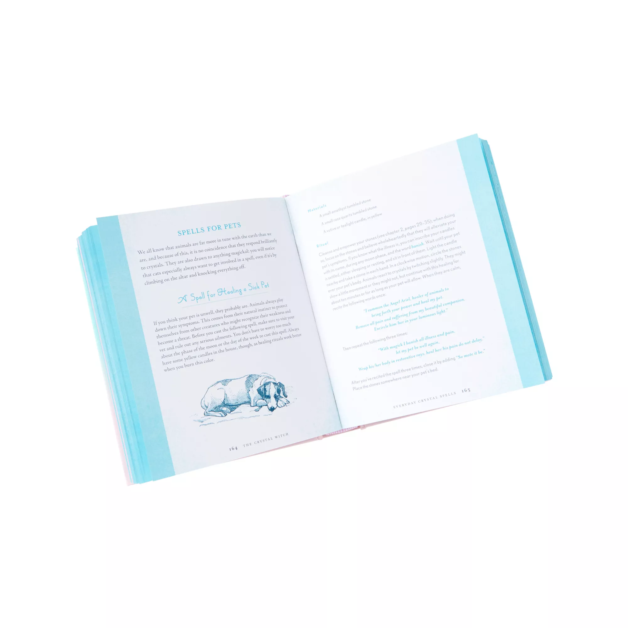 The Crystal Witch Book at Spirit Halloween