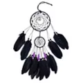 Mystical Arts Dreamcatcher at Spencer's