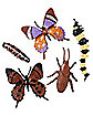 Multi-Color Critters - 18 Pack