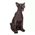 Zombie Cat at Spencer's