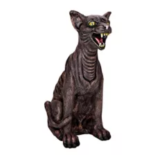 Zombie Cat at Spencer's
