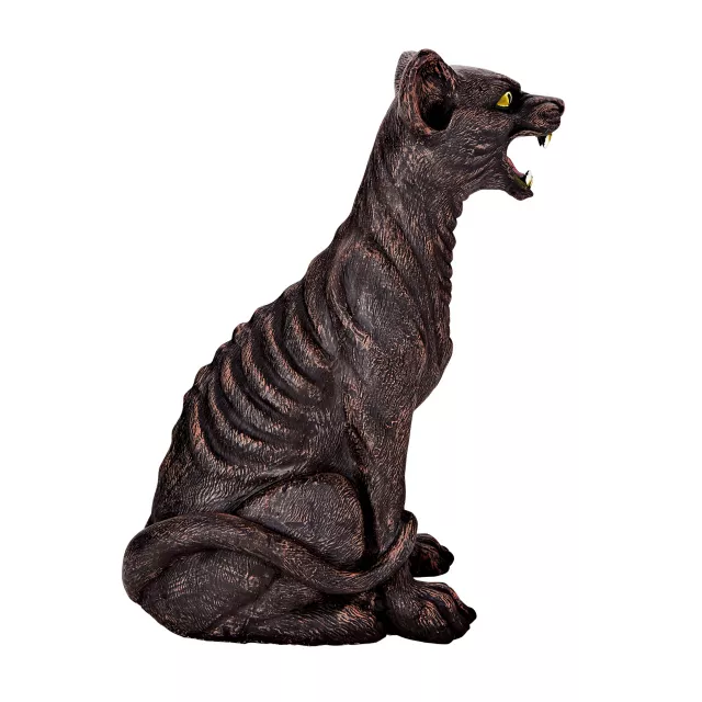 Zombie Cat at Spencer's