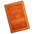Hocus Pocus Journal - Deluxe at Spencer's