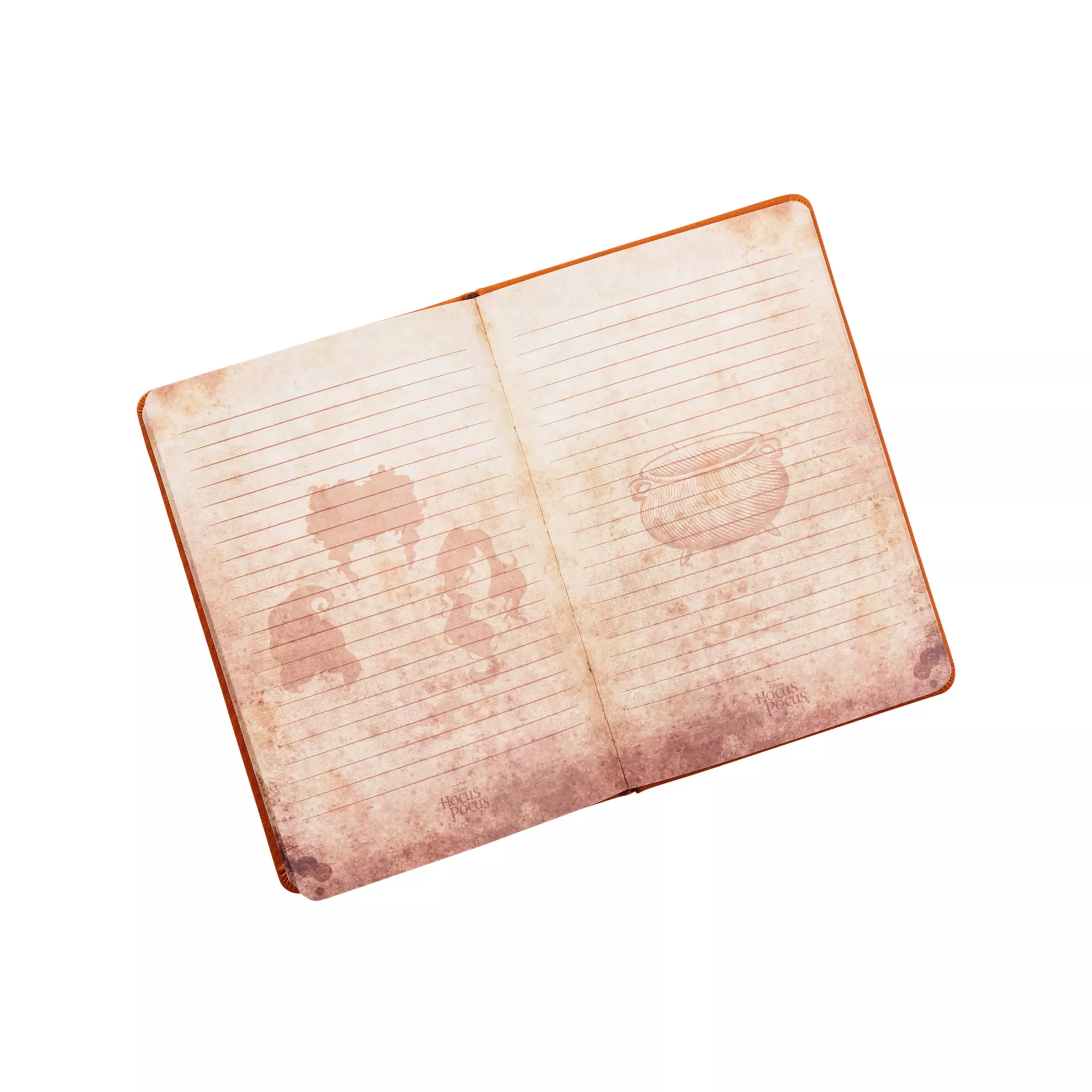 Hocus Pocus Journal Deluxe at Spencer's