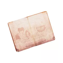Hocus Pocus Journal - Deluxe at Spencer's