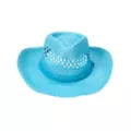 Blue Straw Cowboy Hat at Spirit Halloween