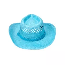 Blue Straw Cowboy Hat at Spirit Halloween