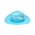 Blue Straw Cowboy Hat at Spirit Halloween
