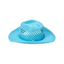 Blue Straw Cowboy Hat at Spirit Halloween