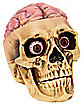 Skull with Brain Decoration