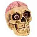 Skull with Brain Decoration at Spirit Halloween