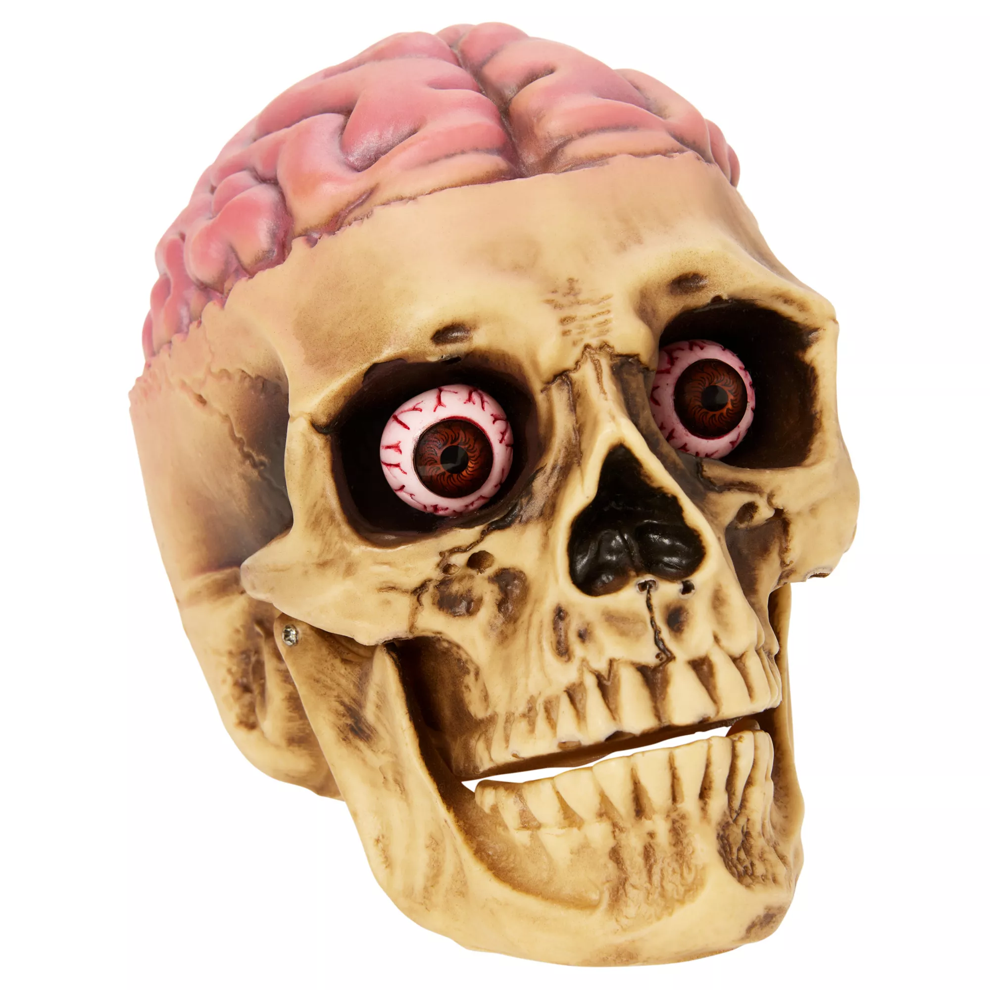 Skull with Brain Decoration at Spirit Halloween