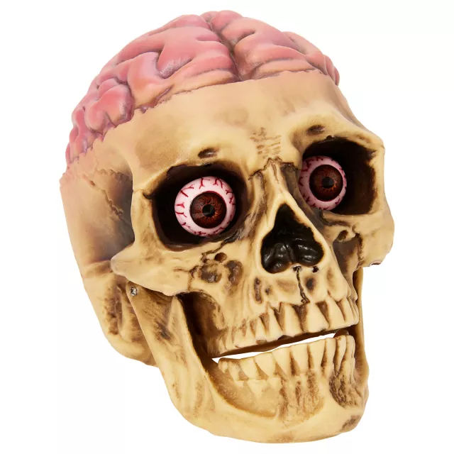 Skull with Brain Decoration at Spirit Halloween