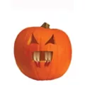 Bloody Pumpkin Fangs - 7 Pack at Spirit Halloween